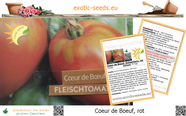 Tomate * Cuor di bue * Ochsenherz-rot * 10 Samen